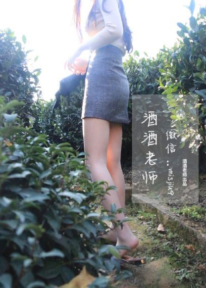 文豪野犬汪第二季全集免费观看_1080P完整视频观看